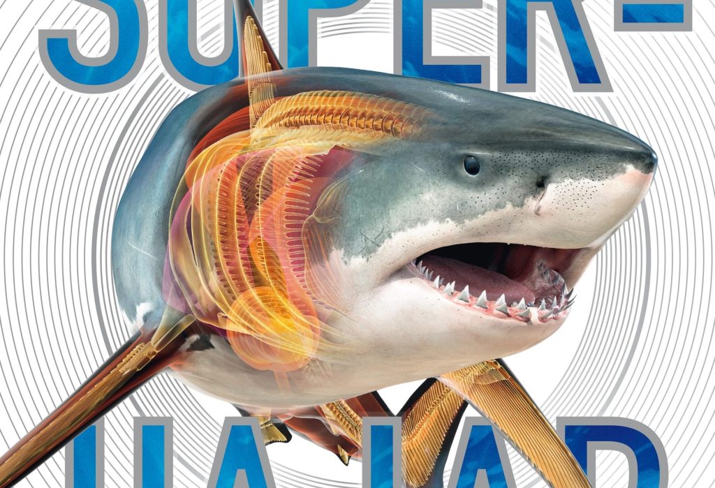 Boktips: Superhajar och andra djur i djupet